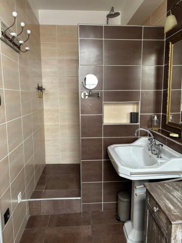 a bathroom with a sink and a shower at Le BALCON DU PRINCE in Montbéliard
