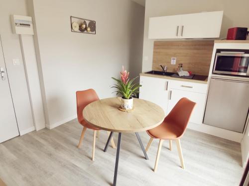 a kitchen with a wooden table and two chairs at Malicorn' Appart-Hôtel in Malicorne-sur-Sarthe