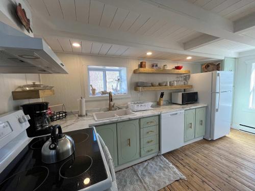 a kitchen with green cabinets and a white refrigerator at Wild Cove Retreat & Nook in Twillingate