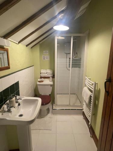 a bathroom with a toilet and a sink and a shower at The Old Barn in Rhoose
