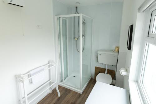 a white bathroom with a shower and a toilet at Waterwitch Cottage in Newquay