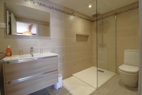 a bathroom with a shower and a sink and a toilet at Chambre n5 Maison dHôtes de Charme in Maizières