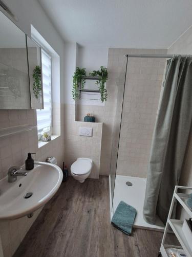 a bathroom with a shower toilet and a sink at Ferienwohnung bei Lübeck in Lüdersdorf
