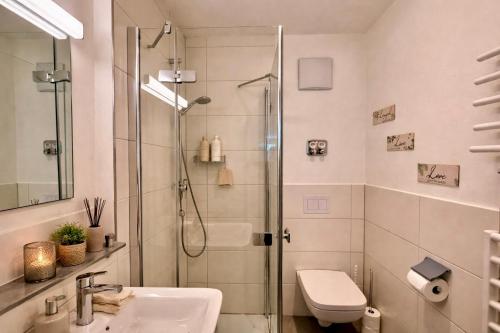 a bathroom with a shower and a sink and a toilet at Zentrales Apartment in Friedrichshafen mit Terrasse für bis zu 5 Personen in Friedrichshafen