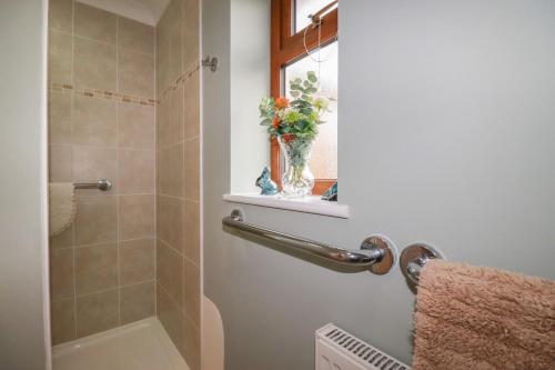 a bathroom with a shower stall and a window at Honeysuckle Rise in Looe