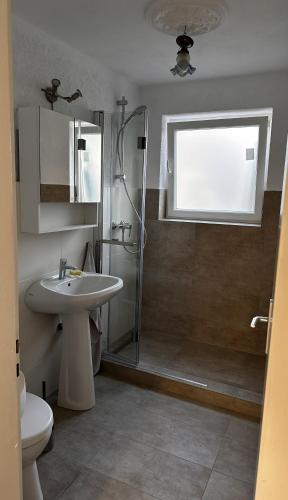 a bathroom with a shower and a sink and a toilet at Monteurwohnung Inzlingen nahe Basel in Inzlingen