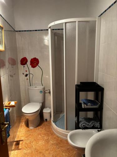 a bathroom with a white toilet and a shower at Casa rural Chantal in San Martín de Trevejo