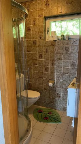 a bathroom with a shower and a toilet and a sink at Alps and Lakeview Villa with Pool in Haut-Vully