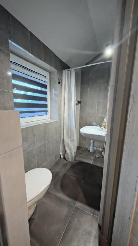 a bathroom with a white toilet and a sink at Agrowinnica in Borzytuchom
