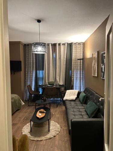 Hyper Center Strasbourg & Petite France Premium Apartment