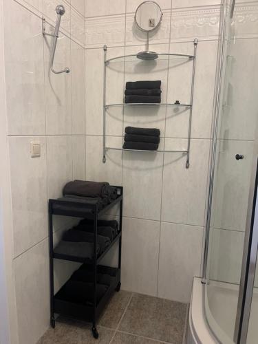 a bathroom with a shower and a shelf with towels at Franciscus in Bergen op Zoom