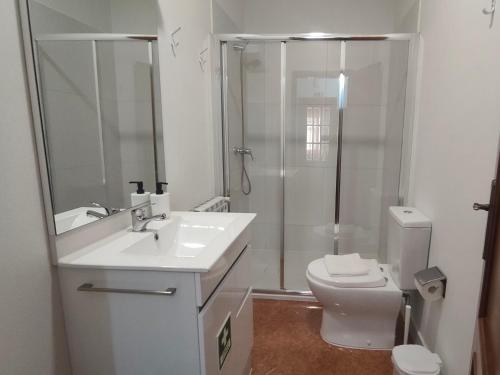 a bathroom with a toilet and a sink and a shower at Quinta Cunha in São Pedro do Sul