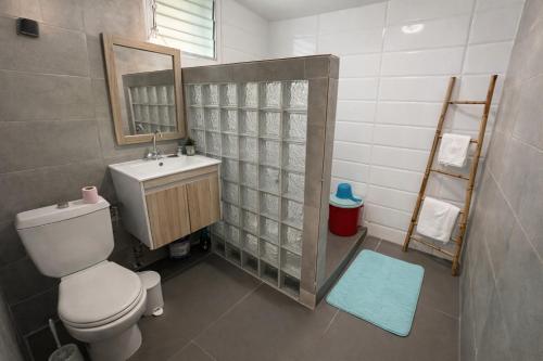 a bathroom with a toilet and a sink and a mirror at La Baraka in Dzaoudzi
