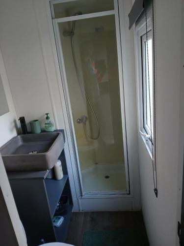 a bathroom with a shower and a sink and a mirror at DeerN'Wood in Trois-Ponts