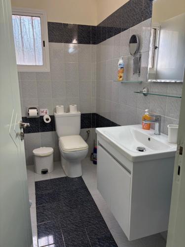 a bathroom with a white toilet and a sink at Villa Filip Coral Bay in Peyia
