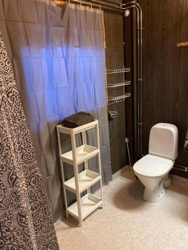 a bathroom with a toilet and a shower curtain at Maple Cottage in Docksta