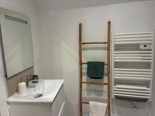 a bathroom with a sink and a towel rack at Duplex with Jacuzzi - Grand place Arras in Arras