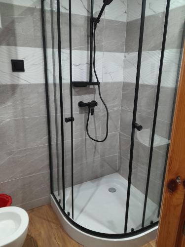 a shower with a glass door in a bathroom at Apartament Przytulny in Ogrodzieniec