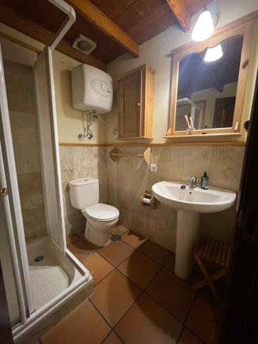 a bathroom with a toilet and a sink at Finca El Lance Zumacal in Firgas