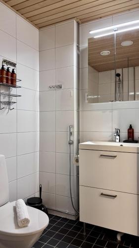a bathroom with a shower and a sink and a toilet at Borg Areena - Stylish Studio Apt For 3 in Tampere