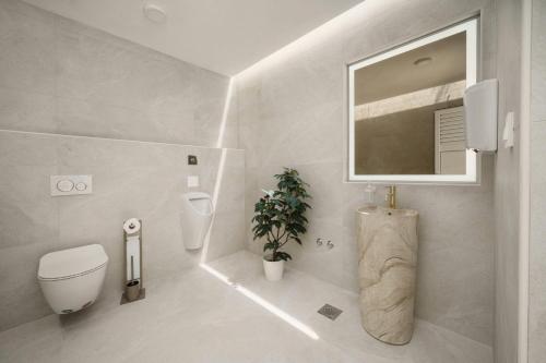 a bathroom with a toilet and a sink and a mirror at Apartments Bianca Vodice in Vodice