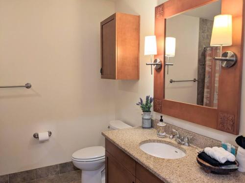 a bathroom with a sink and a toilet and a mirror at Appalachian TOP 4TH FLOOR Studio plus amazing views in Vernon Township