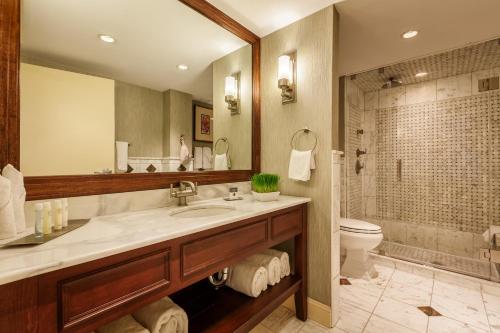 a bathroom with a sink and a toilet and a mirror at Sleepy Hollow Hotel, a Dolce by Wyndham in Tarrytown