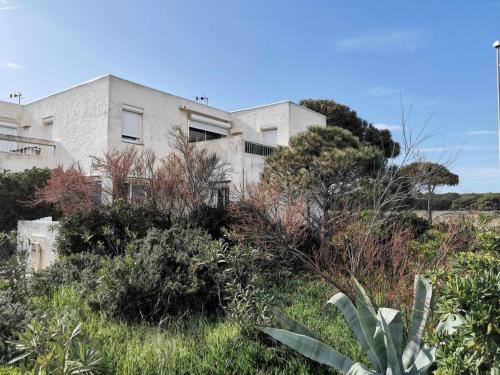 Résidence El Yucca - Appartement 4 pièces - 8 couchages - LE BARCARES MAE-9383