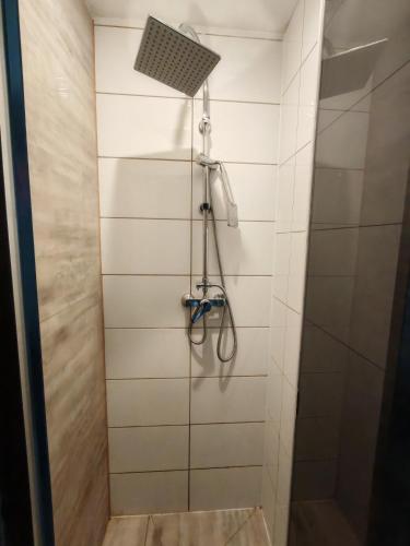 a shower with a shower head and a fan at W pięknej KAMIENICY in Wałbrzych
