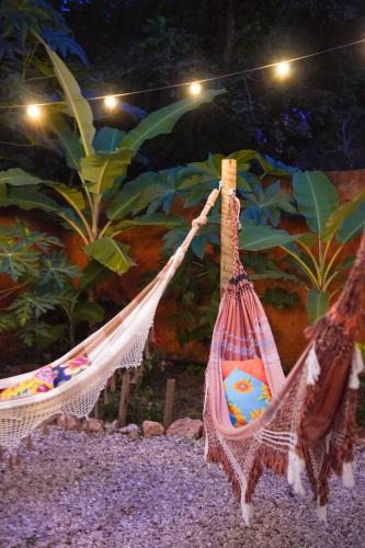 two hammocks hanging from a string in a garden at Sabiá Hospedagem - São Jorge in Sao Jorge