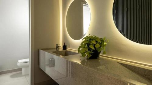 ein Badezimmer mit einem Waschbecken mit Spiegel und einer Pflanze in der Unterkunft Solara Hotel Boutique in Asunción