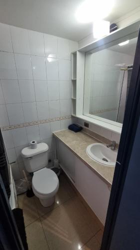 a bathroom with a toilet and a sink and a mirror at Dpto full amoblado en copiapo 4 in Copiapó