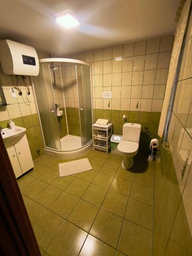 a bathroom with a shower and a toilet and a sink at Domki Całoroczne Pod Lasem in Łobozew
