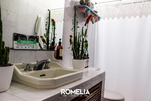 a bathroom with a sink and a toilet and plants at Finca Romelia Orchids and Birds in Manizales