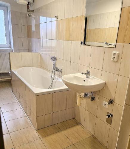 a bathroom with a bath tub and a sink at Apartmány Lahofer ZNOJMO in Znojmo