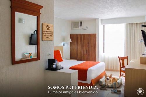 Hotel & Suites Real del Lago