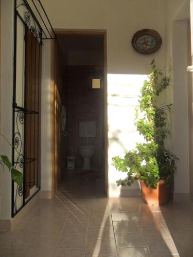 Apartment Bribir 1 – Photos 5