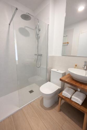 a bathroom with a shower and a toilet and a sink at 31CaL QuEROL Boutique centre Puigcerdà in Puigcerdà