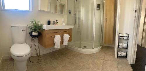 a bathroom with a toilet and a shower at The Park Cottage in Napier