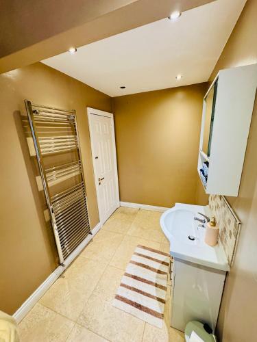 a bathroom with a sink and a shower at Lord Windsor's Regal Chamber in Drogheda