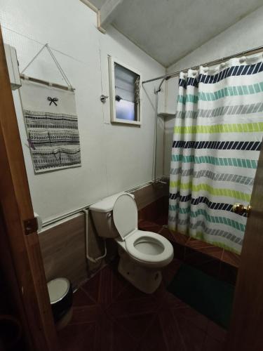 a bathroom with a toilet and a shower curtain at Flor Austral in Chile Chico