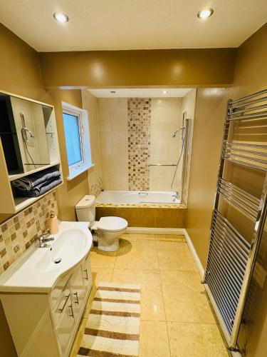 a bathroom with a sink and a toilet and a shower at Duchess Victoria Haven in Drogheda
