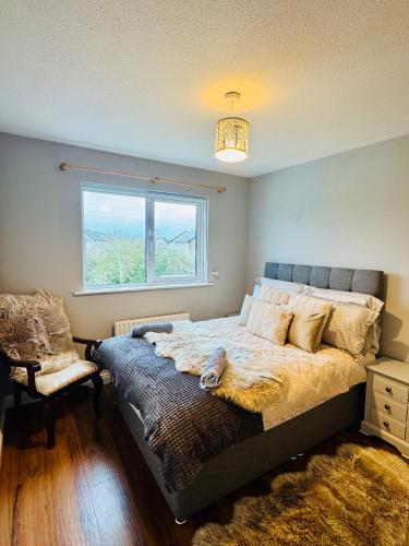a bedroom with a large bed and a window at Duchess Victoria Haven in Drogheda