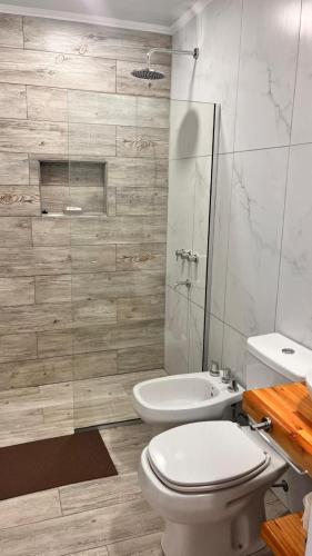 a bathroom with a toilet and a sink and a shower at Gris Urbano in Federación