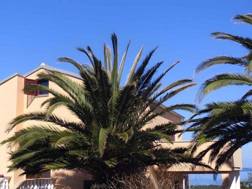 Apartments near Beach in Mali Losinj 14856