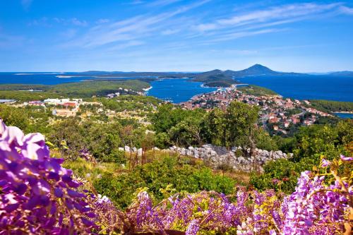 Apartments near Beach in Mali Losinj 14856