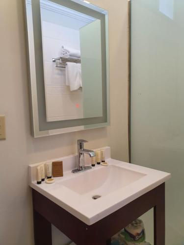 a bathroom with a white sink and a mirror at Cara Lodge Hotel in Georgetown