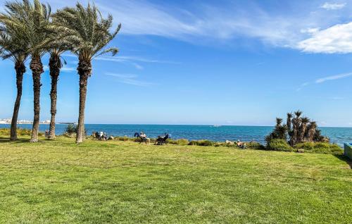 Pet Friendly Apartment In Torrevieja With Wifi
