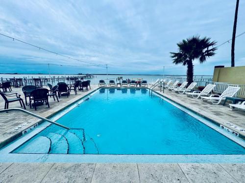a swimming pool with chairs and a palm tree and the ocean at Condo in Waterfront Resort with Balcony Close to Beaches Free Bikes in Dunedin