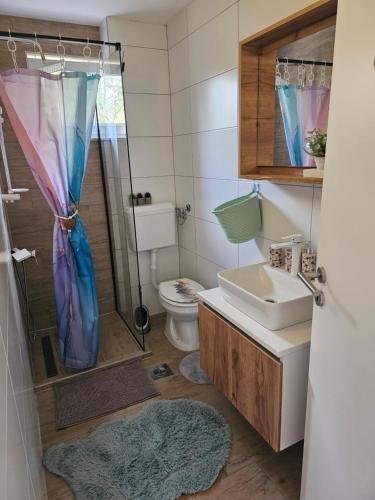 a bathroom with a shower and a sink and a toilet at Villa Ruscello in Grabovac